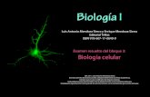 Mendoza, L. et al., Biología I Examen resuelto Bloque 3 ... · PDF fileUna célula humana, por ejemplo, contiene más de mil millones de moléculas de proteína, de 10 mil a 20 ...