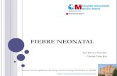 FIEBRE NEONATAL - · PDF fileSerologías infección connatal: negativas. SGB: negativo. ... -Asintomático, cuadros febriles, exantemas, sepsis, neumonía, hepatitis, coagulopatía