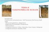 TEMA 8 TAXONOMÍA DE SUELOS - webdelprofesor.ula.vewebdelprofesor.ula.ve/forestal/clifford/materias/suelos/TAXONOMIA... · Horizonte A: es un horizonte de mineral oscurecido. Los