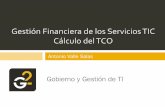 Gestión Financiera de los Servicios TIC Cálculo del TCO · PDF fileEl usuario forma parte de la producción. ... Almacenamiento Se realiza un reparto porcentual al final del periodo