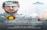 CURSO DESArrOllADOr Y COnSUlTOr ABAp-SAp - …ausape.es/ausape/.../Cursos/...ABAP-SAP-IDE-CESEM.pdf · • Complex data objects: - Structures ... • Alv grid Control • ABAp Open