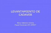 LEVANTAMIENTO DE CADAVER - Portal del Ministerio · PDF fileintervención del funcionario respectivo para realizar conjuntamente con el perito especializado el levantamiento del cadáver.