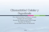Citotoxicidad Celular y Fagocitosis · PDF file1.- Describir los mecanismos de citotoxicidad mediada por células, precisando mediadores solubles, de membrana y celulares implicados