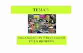 Apuntes T5. Organización y diversidad biosfera · PDF file•Sucesión ecológica: son los cambios producidos en los ecosistemas a lo largo del tiempo. • Madurez ecológica, es