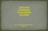 Vesículas Lisosomas Peroxisomas Vacuolas - nutricion2013 · PDF fileneutrÓfilos de la serie blanca . ... Enfermedades de almacenaje debidas a anormalidades genéticas de los lisosomas: