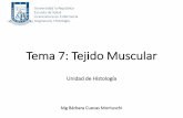 Tema 7: Tejido Muscular · PDF fileContracción del músculo liso: 1. Las concentraciones intracelulares de 2Ca + aumentan cuando el Ca2+ entra en la célula y es liberado del