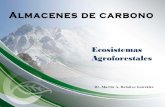 Almacenes de carbono - cepal.org · PDF filevariedades de alta productividad (de porte bajo) requieren de mayor ... Maracatu Catimor Oro Azteca. Caturra Pache Colis. Costa Rica 95.