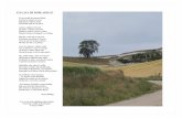ATALAYA DE ROBLADILLOrobladillo.com/ARCHIVOS/4.2 La Atalaya (Foto y poema).pdf · Hoy, Roble amigo, ... A quienes hoy pisamos esta tierra. Robladillo, noble villa de Castilla, ...