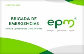 BRIGADA DE EMERGENCIAS - · PDF fileEnviar información a Carlos Salazar para actualizar la pagina de la Brigada de Emergencias. UOZO Ver acta de reunión (25-01-2017) ... Diapositiva