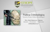 Política Criminológica · PDF fileLA CRIMINOLOGÍA Y EL CONTROL SOCIAL: ... Criminología y Política Criminal, han venido ... familiar y social,