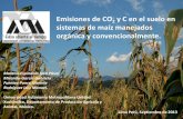 Presentación de PowerPoint · PDF fileEmisiones de CO 2 y C en el suelo en sistemas de maíz manejados orgánica y convencionalmente. Moreno-Espíndola Iván Pável Miranda-García