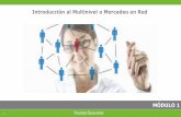 Introducción al Multinivel o Mercadeo en Red - mtplinea.commtplinea.com/otros_pdf/modulo_1_introduccion.pdf · Introducción al Multinivel Ya tiene claro lo que desea lograr con