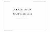 Mathcad - Notas de Álgebra Supedep.fie.umich.mx/~rrusiles/Fie/Horizontal/Notas de Algebra Superior... · Álgebra Superior Facultad de Ingeniería Eléctrica UMSNH Presentación