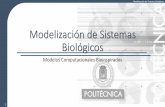 Modelización de Sistemas Biológicos - laurel.datsi.fi.upm.eslaurel.datsi.fi.upm.es/_media/docencia/asignaturas/msb/pub/... · •En lugar de lo que sería una exploración completa