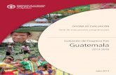 Evaluación del Programa País Guatemala - fao. · PDF fileSERIE DE EVALUACIONES PROGRAMA PAÍS Evaluación del Programa País Guatemala 2013-2016 ORGANIZACIÓN DE LAS NACIONES UNIDAS