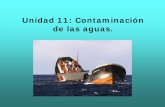 Unidad 11: Contaminación de las aguas. - bioyciencias · PDF fileintrusión marina : el agua de mar (con alto contenido en sales y mucha densidad) invade el espacio libre del ...
