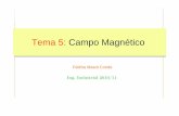 Tema 5: Campo Magnético - esi2.us.esGITI)_Fatima/Apuntes/10-11/tema5-campo... · microscópica del origen del magnetismo. Deduce las leyes de las fuerzas magnéticas entre conductores,