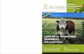 La clave de la ganadería visión · PDF file18 SOC. RURAL: Nueva ordenanza de aplicación de fitosanitarios. ... afecta a la ganadería sobre todo de diciembre a ... Sustentable de