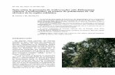 Nota sobre la presencia de Arthrocnodax vitis Rübsaamen ... · PDF fileLa falta de estudios sobre los parásitos de la vid en el medio natural, ... como la presencia de pies de planta