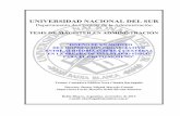 UNIVERSIDAD NACIONAL DEL SUR - …repositoriodigital.uns.edu.ar/bitstream/123456789/459/1/Tesis N... · Magister en Administración Universidad Nacional del Sur Departamento de Ciencias