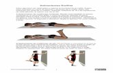 Estiramientos Rodillas - Blog de información de ... · PDF fileEstiramientos Rodillas   2 3) Estiramiento de isquiotibiales. De pie con el talón apoyado en una silla y