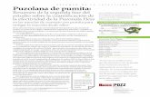 Puzolana de pumita: Erradicación de la Reacción Álcali ...asrmitigator.com/PDFs/UofU-ResumenASR-Informe.pdf · esenciales a tener en cuenta en el diseño de mezclas de concreto.