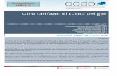 Otro tarifazo: El turno del gas - ceso.com.ar · PDF file50% restante treinta días después del primer pago efectuado. ... Rosario cuenta con el 52,8% de los clientes de la ... Santa