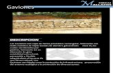 DESCRIPCION - cercasmallacos.comcercasmallacos.com/catalogos/GAVIONES.pdf · Los Gaviones son cajas de forma prismática rectangular, fabricadas con malla metálica de triple torsión