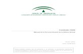 Manual persona usuaria pues v02r01 - Junta de Andalucía · PDF fileManual de Persona usuaria de la Oficina Virtual PUES PUESTAS EN SERVICIO DE INSTALACIONES Dirección General de