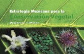 Estrategia Mexicana para la Conservación · PDF fileComisión Nacional para el Conocimiento y ... Sin duda alguna,las actividades que impulsa la CONANP para cumplir con cada uno de