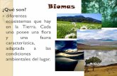 Biomas ¿Qué son? · PDF fileBiomas ¿Qué son? diferentes ecosistemas que hay en la Tierra. Cada uno posee una flora y una fauna característica, adaptada a las condiciones