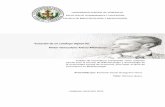 “reación de un catálogo digital del Pintor Venezolano ...saber.ucv.ve/bitstream/123456789/16903/1/CDAM-FINAL.pdf · desarrollo de nuevos servicios de información acordes a los