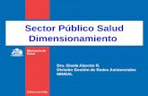Sector Público Salud · PDF fileGobierno de Chile / Ministerio de Salud Distribución de cotizantes en Salud por deciles de ingreso. 4 13,0 14,1 13,1 12,3 10,8 10,4 9,1 7,9 5,9 3,4