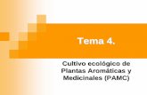 Tema 4. - Bienvenido al OpenCourseWare de la …ocw.upm.es/ingenieria-agroforestal/uso-industrial-de...Uso de polietileno transparente cubriendo el suelo para que Tª y evitar las