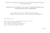Academia de Microbiología, Departamento de Biotecnologíasgpwe.izt.uam.mx/files/users/uami/crl/Microbiologia/16P/Manual... · MANUAL DE PRÁCTICAS DEL LABORATORIO DE ... Academia