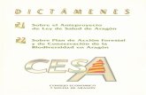 Sobre el Anteproyecto de Ley de Salud de Aragón Sobre Plan  · PDF file · 2011-01-2211. CO~S[IO[CO:
