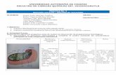 UNIVERSIDAD AUTONOMA DE CHIAPAS FACULTAD DE · PDF file · 2015-05-072. ¿Cuál es la diferencia morfológica entre el retículo endoplásmico rugoso, liso y el aparato de Golgi?