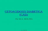 CETOACIDOSIS DIABETICA (CAD) - Reanimovil. …reanimovil.com/docgenerales/Cetoacidosis Diabetica.pdf ·  · 2017-03-20• No uso o uso inadecuado de insulina. • Como debut de DM.