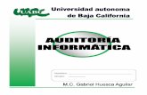 I: Introducción a la auditoría informática · PDF fileFASES DE LA AUDITORIA INFORMÁTICA ... contabilidad y de control de los registros y de las ... tendremos que empezar analizando