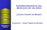 SUPERINTENDENCIA DEL MERCADO DE VALORES · PDF fileSe dedican a la intermediación en el mercado de valores: Sociedades Agentes de Bolsa y Sociedades Intermediarias de Valores. ...