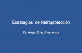 Mecanismos de Nefroprotección - Médicos de El Salvador · PDF fileAGE PKC Polyol Pathway Glucose Formation Activation Activation Autooxidation Oxidative Stress Disfunción Endotelial