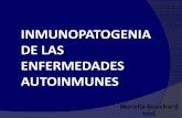 INMUNOPATOGENIA DE LAS ENFERMEDADES · PDF fileglomerulonefritis con HLA-DQ1. •Los niveles de TNFα se correlacionan con el fenotipo DR DR2: bajos ... Targeting the B-Cell Pathway