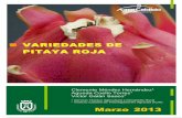 VARIEDADES DE PITAYA ROJA - AgroCabildo - · PDF file1 La pitaya es una cactácea epifítea y trepadora procedente de Centroamérica. A pesar de pertenecer a la familia de las Cactoideae