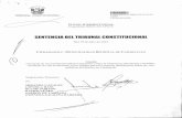 SENTENCIA DEL TRIBUNAL CONSTITUCIONAL - tc.gob.pe · PDF fileMetropolitana, en la medida en que obstaculiza el proceso de formalización del comercio ambulatorio a nivel distrital.