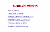 ALGEBRA DE MATRICES - uv.mx · PDF file• Las matrices se utilizan para describir sistemas de ecuaciones lineales, y registrar los datos que dependen de varios parámetros. • Las