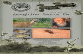 N 01 | marzo | 2011 Ameghino Santa Fe - · PDF fileEl número de especies de mosquitos adaptados al ambiente antrópico está en aumento, ... contrapunto de sentido y estilo propio
