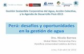Perú: desafíos y oportunidades en la gestión de aguaLima2014).pdf · nbernex@pucp.edu.pe . El Agua es un . recurso para todos. y una . responsabilidad de todos . Title: El agua: