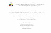 EFECTO DEL CAMBIO CLIMÁTICO EN LA SEGURIDAD DE …repositorio.uchile.cl/tesis/uchile/2010/cf-gonzalez_ma/pdfAmont/cf... · vi 5.3 Modelo de Simulación del Sistema de Abastecimiento