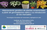 Mejoramiento genético de plantas ornamentales a partir de ... · PDF filea partir de germoplasma nativo y su introducción ... Estudios de aptitud ornamental ... Manejo de cultivo