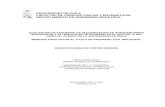 UNIVERSIDAD DE CHILE FACULTAD DE CIENCIAS  · PDF fileDescripción del Software de Simulación FlexSim HC ..... 41 10.2. Construcción del Modelo de Simulación